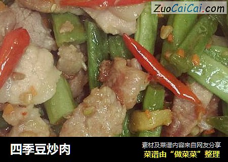 四季豆炒肉