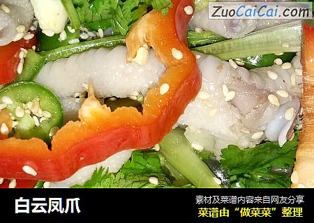白云凤爪