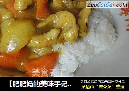【肥肥妈的美味手记】——咖喱鸡腿饭