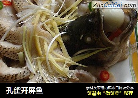 孔雀开屏鱼