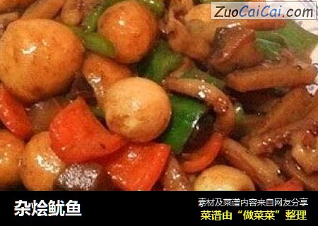 杂烩鱿鱼