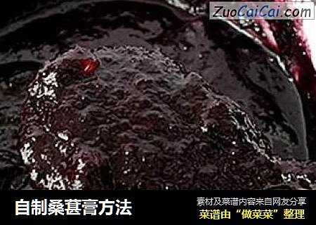 自制桑葚膏方法