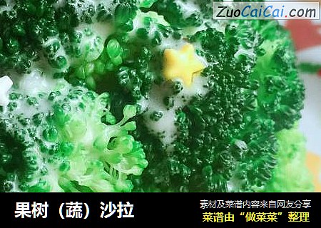 果树（蔬）沙拉