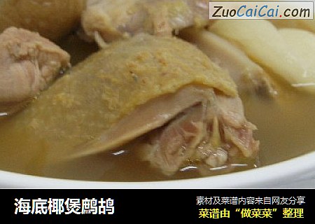 海底椰煲鹧鸪