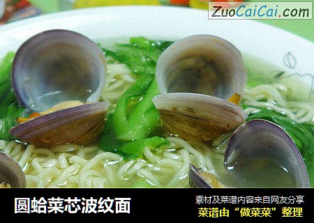 圆蛤菜芯波纹面