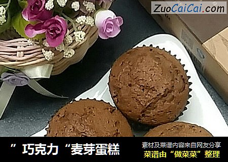 ”巧克力“麦芽蛋糕