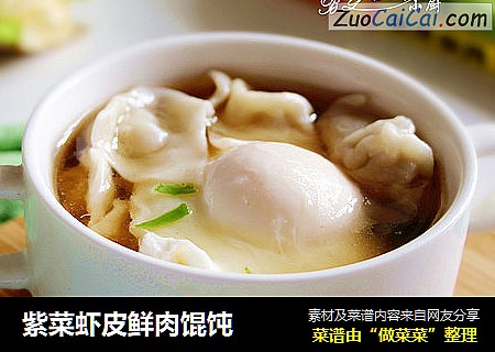 紫菜虾皮鲜肉馄饨