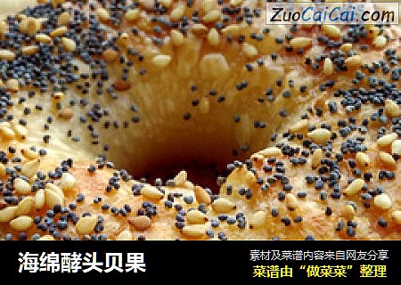 海绵酵头贝果