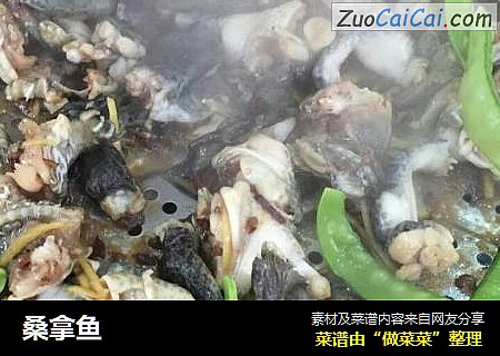 桑拿鱼