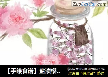 【手绘食谱】盐渍樱花 手造的暖意 任何工业化商品都比不过