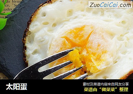 太阳蛋
