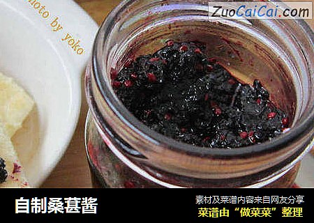 自制桑葚酱