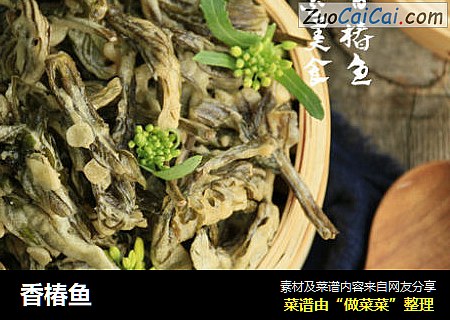 香椿鱼