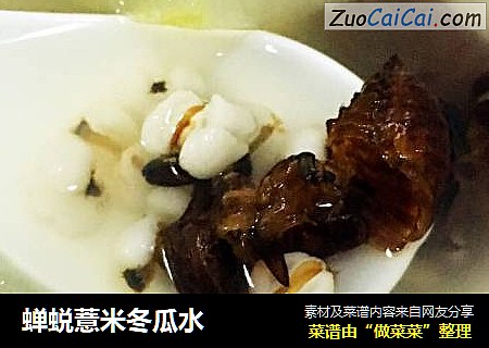 蝉蜕薏米冬瓜水