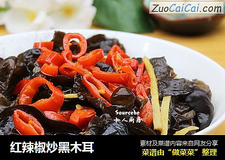 红辣椒炒黑木耳