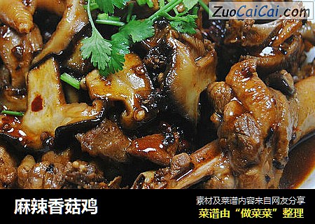 麻辣香菇鸡