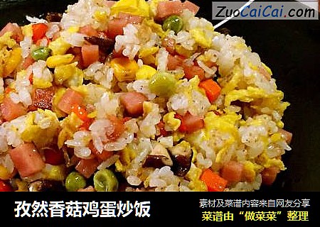 孜然香菇鸡蛋炒饭