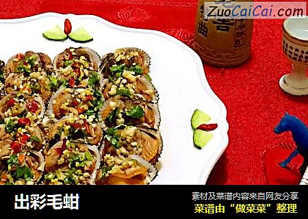 出彩毛蚶