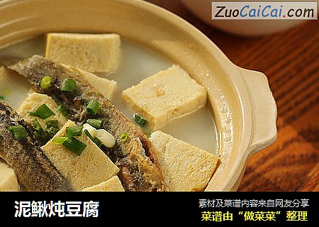 泥鳅炖豆腐