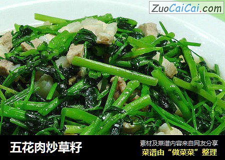 五花肉炒草籽
