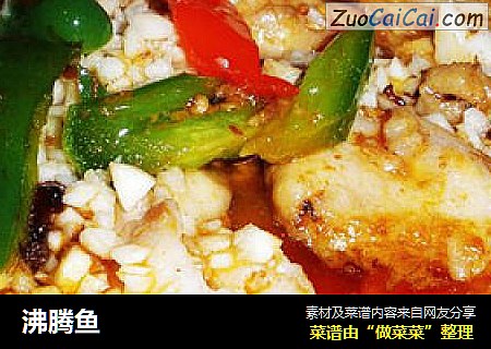 沸腾鱼