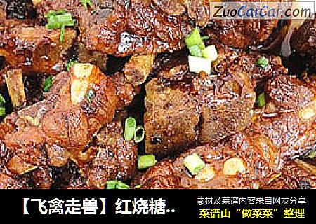 【飞禽走兽】红烧糖醋排骨