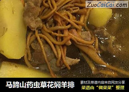 马蹄山药虫草花焖羊排