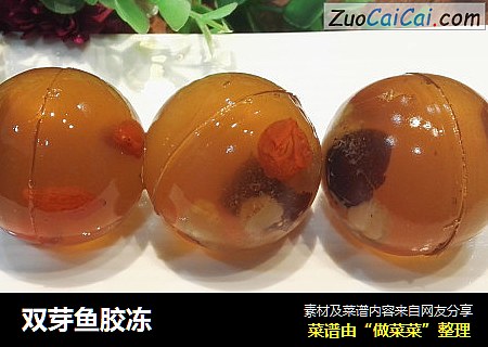 双芽鱼胶冻
