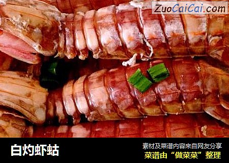 白灼虾蛄