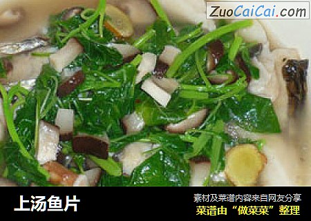 上汤鱼片