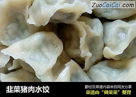 韭菜猪肉水饺
