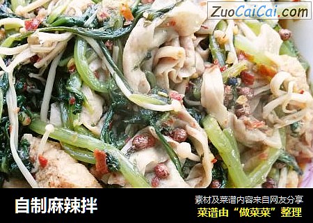 自制麻辣拌