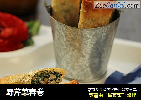 野芹菜春卷