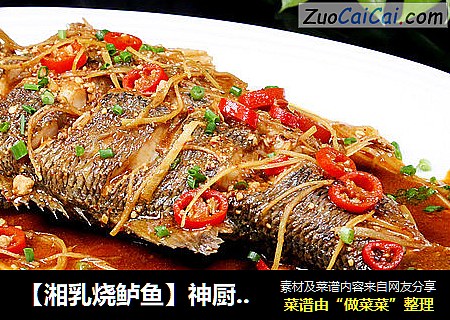 【湘乳烧鲈鱼】神厨让你目瞪口呆