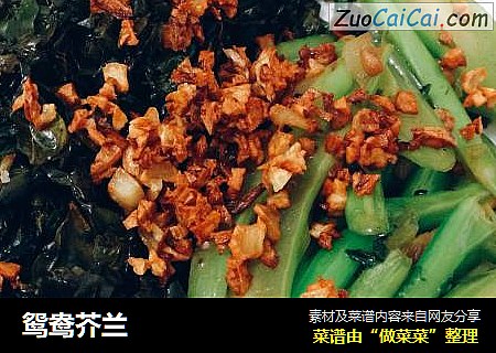 鸳鸯芥兰