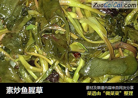 素炒鱼腥草