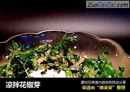 凉拌花椒芽