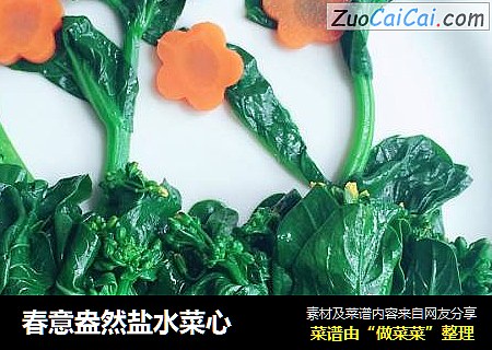 春意盎然盐水菜心