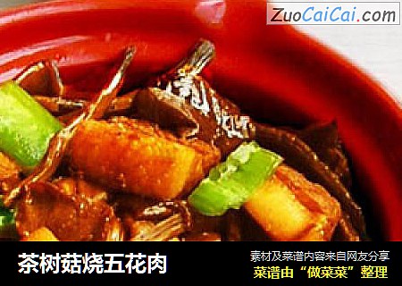 茶树菇烧五花肉