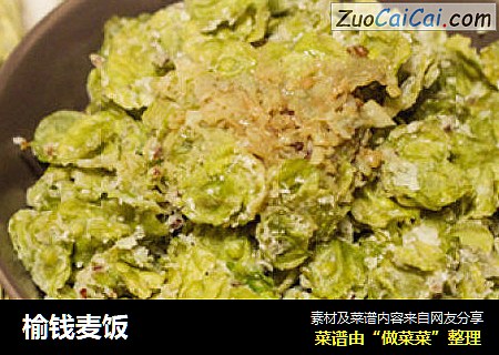 榆钱麦饭
