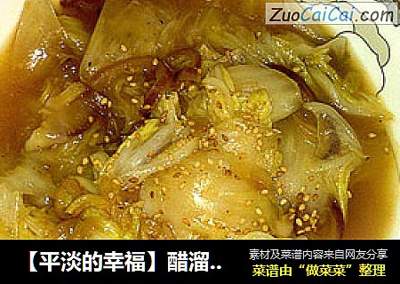 醋溜白菜