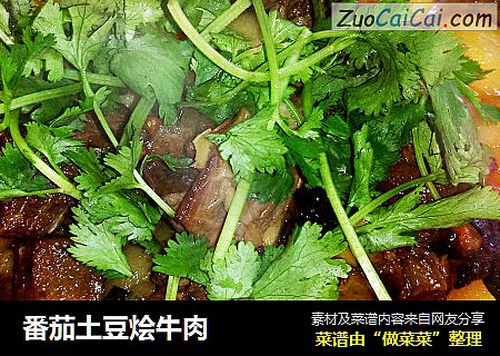 番茄土豆烩牛肉
