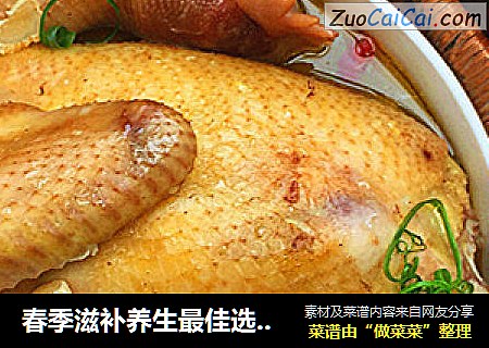 春季滋补养生最佳选择天麻核桃枸杞鸡汤