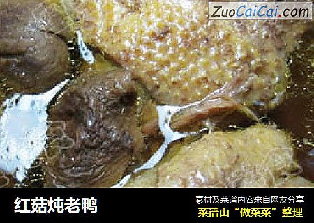 红菇炖老鸭