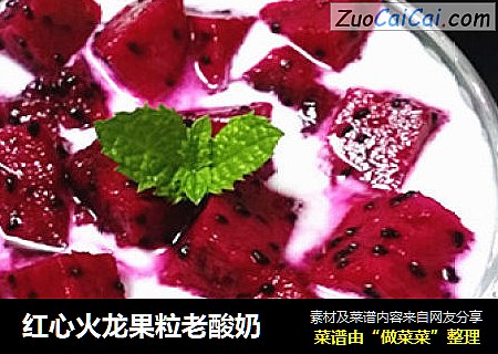 红心火龙果粒老酸奶