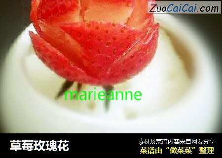 草莓玫瑰花