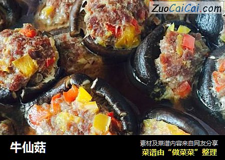 牛仙菇