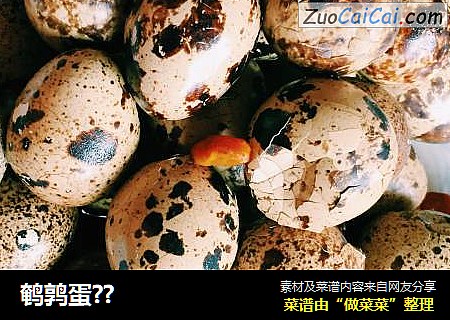 鹌鹑蛋??