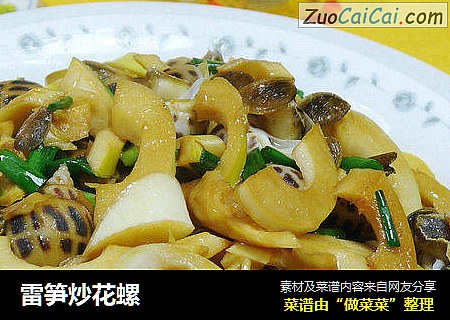 雷笋炒花螺
