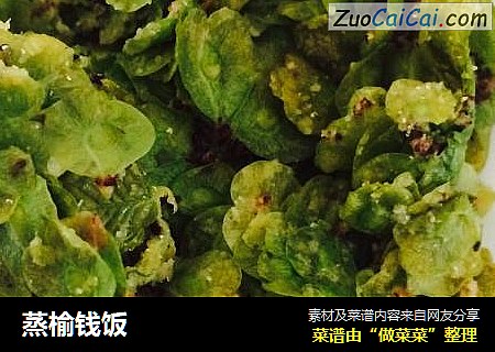 蒸榆钱饭